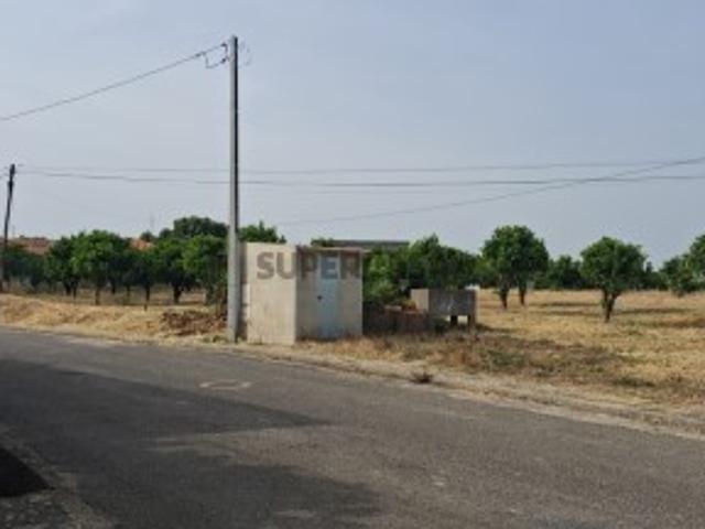 Terreno venda em Cartaxo e Vale da Pinta, Cartaxo