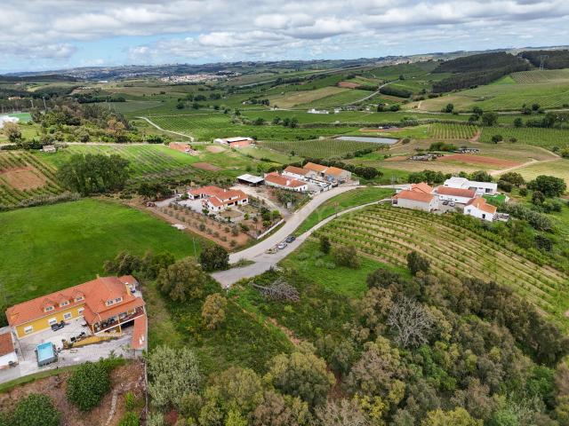 Terreno venda em Cadaval, Pêro Moniz