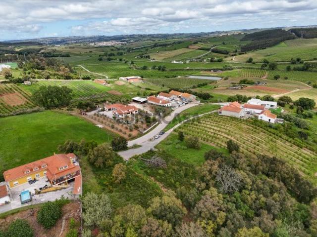 Terreno venda em Cadaval, Pêro Moniz