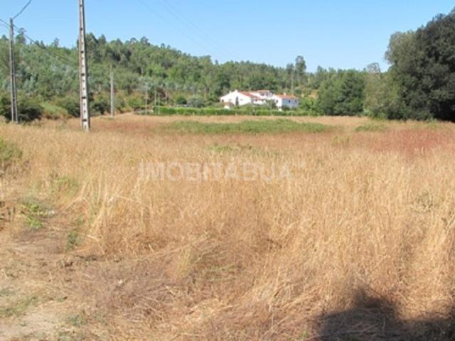 Terreno venda em Tábua, Coimbra