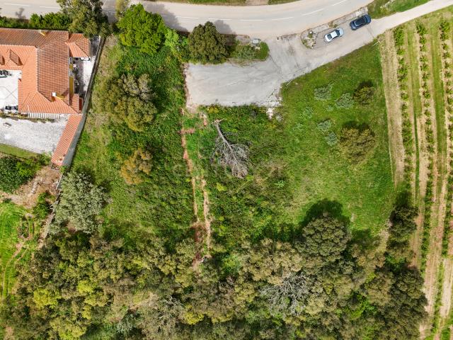 Terreno venda em Cadaval, Pêro Moniz