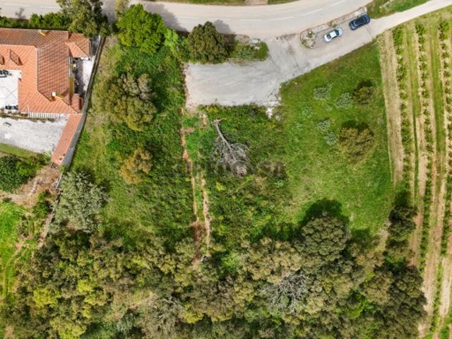 Terreno venda em Cadaval, Pêro Moniz