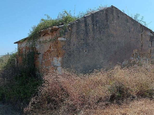 Terreno venda em Santarém
