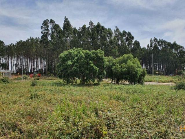 Casa venda em Rego Da Murta, Santarém
