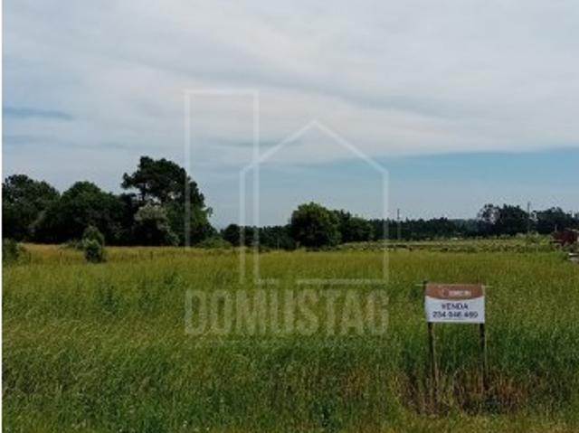 Terreno venda em Aveiro