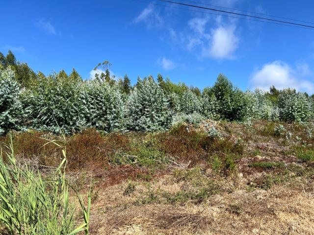 Terreno venda em Olho Polido, Torres Vedras