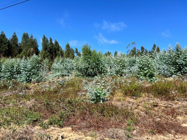 Terreno venda em Olho Polido, Torres Vedras