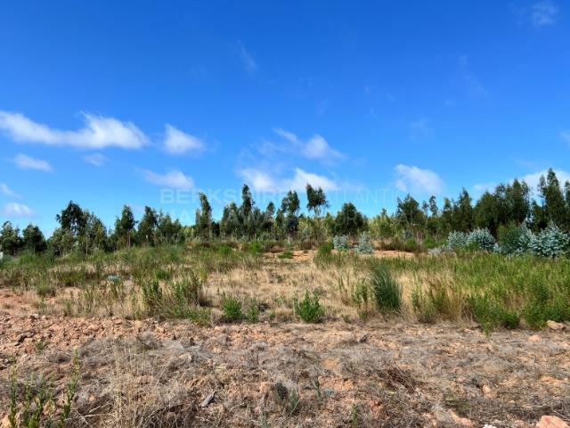 Terreno venda em Olho Polido, Torres Vedras