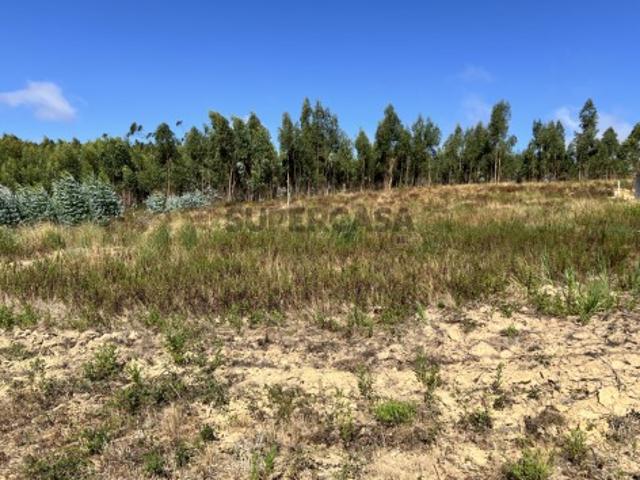 Terreno venda em Olho Polido, Torres Vedras