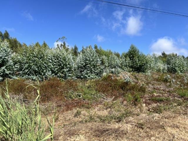 Terreno venda em Olho Polido, Torres Vedras