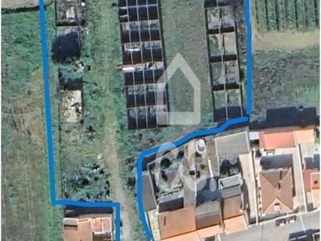 Terreno venda em São João de Negrilhos, Beja