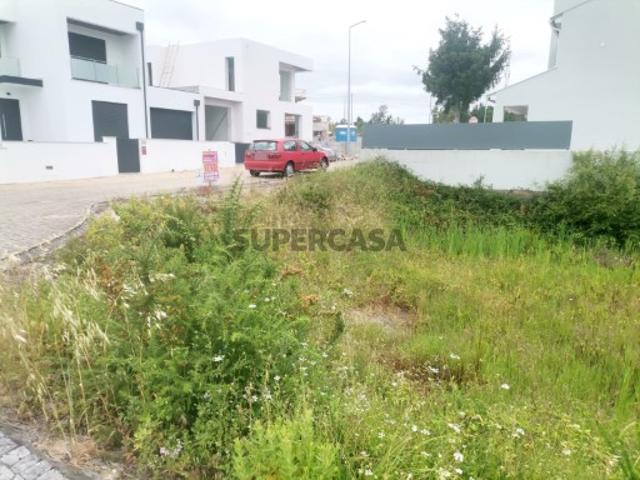 Terreno venda em Cantanhede, Coimbra
