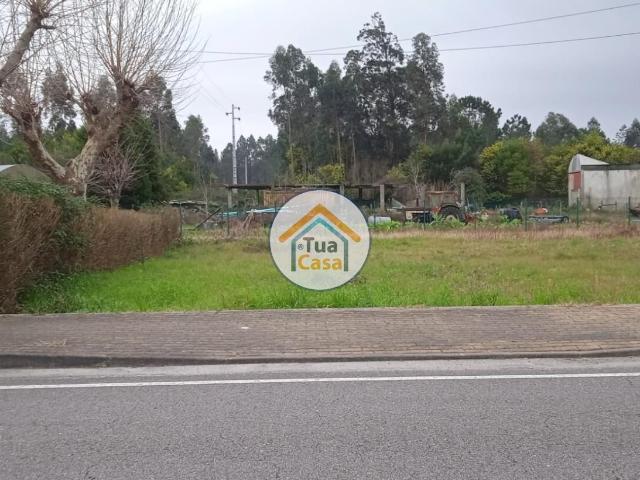 Terreno venda em Rines, Ponte De Vagos