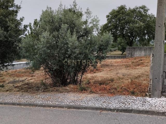 Terreno venda em Pombal, Leiria
