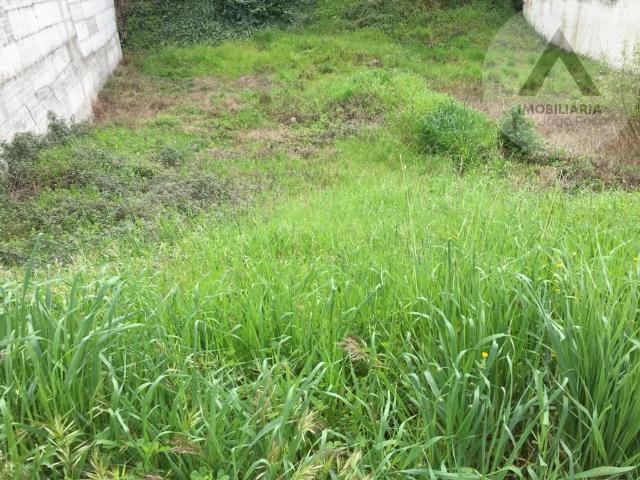 Terreno venda em Castelo Branco