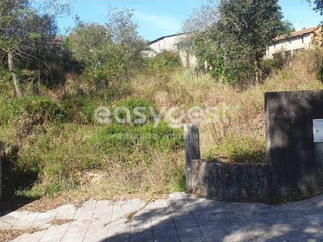 Terreno venda em Albergaria-a-velha, Aveiro
