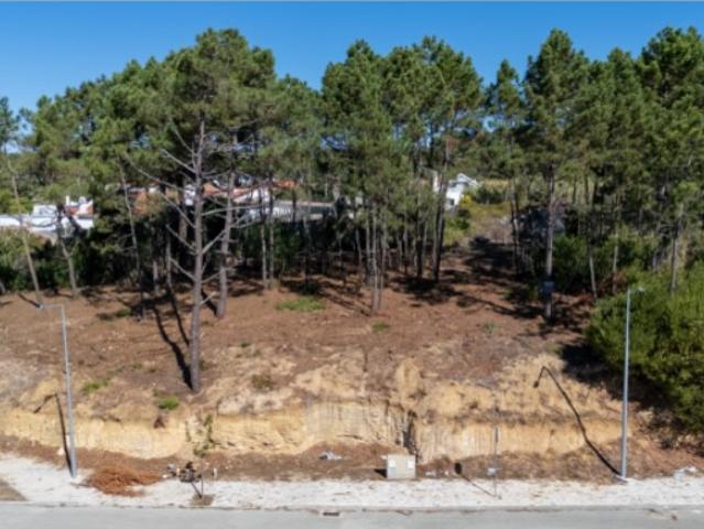 Terreno venda em Sintra, Lisboa