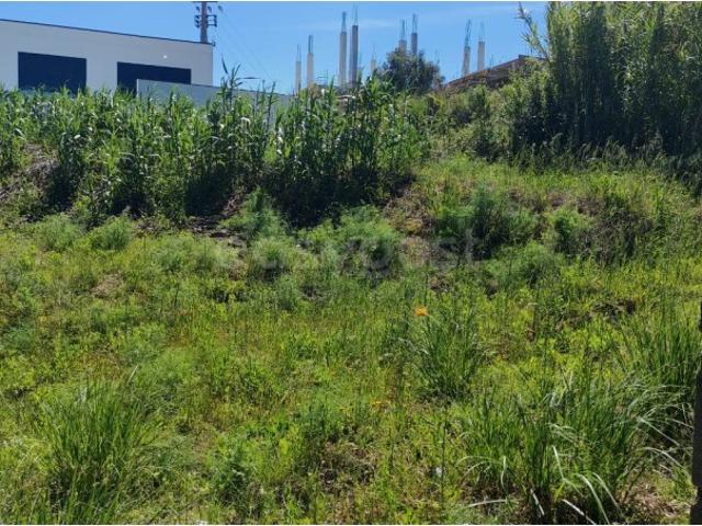 Terreno venda em Torres Novas, Santarém