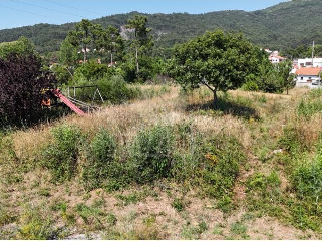 Terreno venda em Viana Do Castelo
