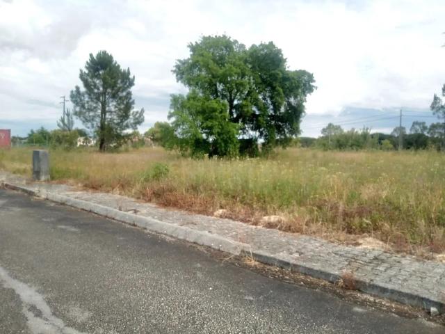 Terreno venda em Coruche, Santarém