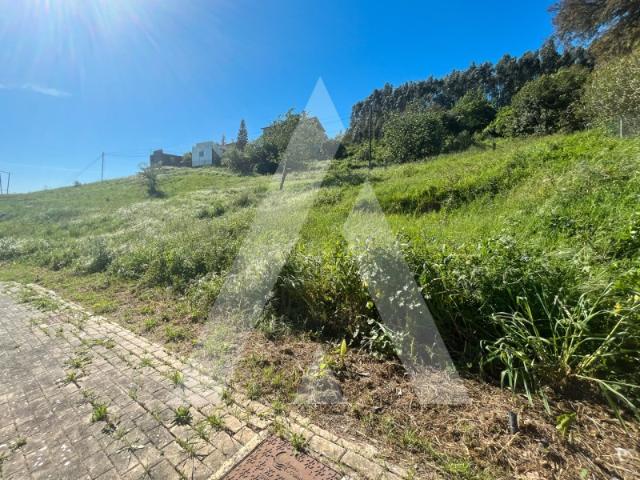 Terreno venda em Coimbrã, Coimbra
