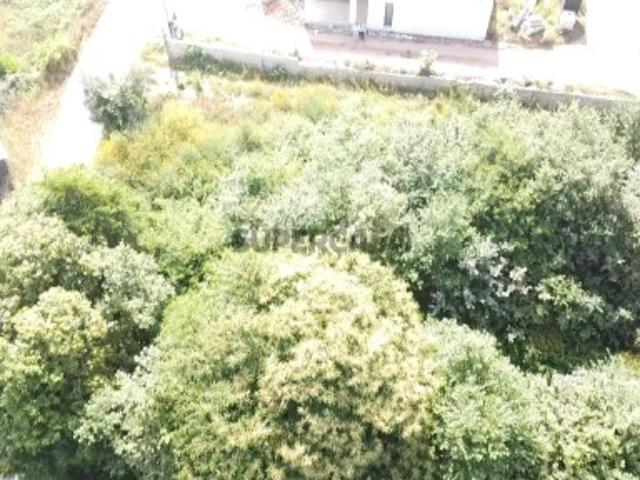 Terreno venda em Ribeira do Neiva, Vila Verde