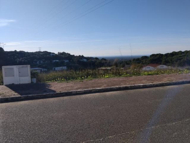 Terreno venda em Santiago Do Cacém, Setúbal