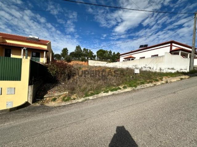 Terreno venda em Chamusca e Pinheiro Grande, Chamusca