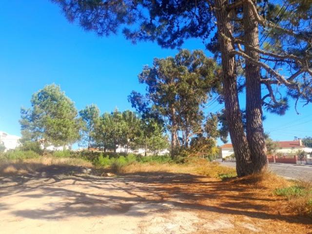 Terreno venda em Caldas Da Rainha, Leiria