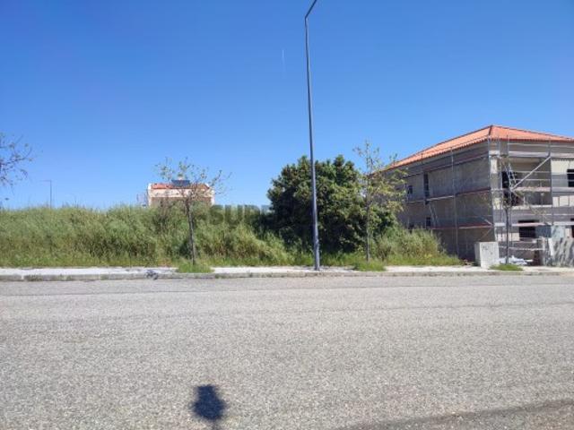 Terreno venda em Castelo Branco