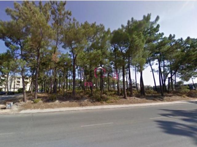 Terreno venda em Azeitão (São Lourenço e São Simão), Setúbal