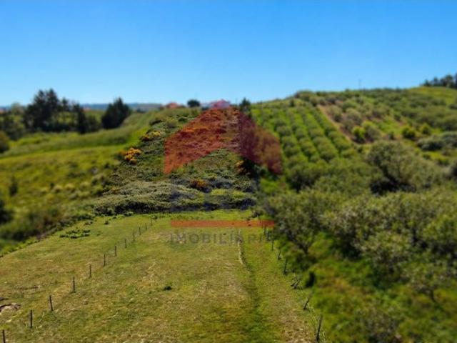 Terreno venda em Trás do Outeiro, Óbidos