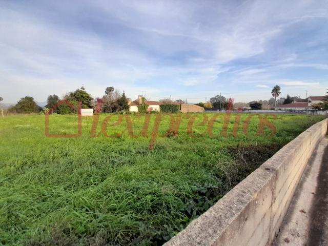 Terreno venda em Águeda, Aveiro