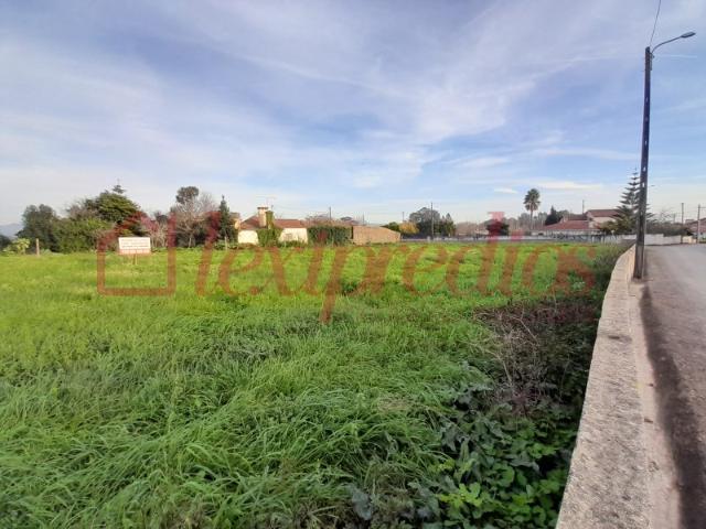 Terreno venda em Águeda, Aveiro