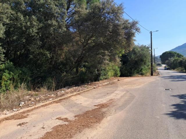 Terreno venda em Alcanena, Santarém