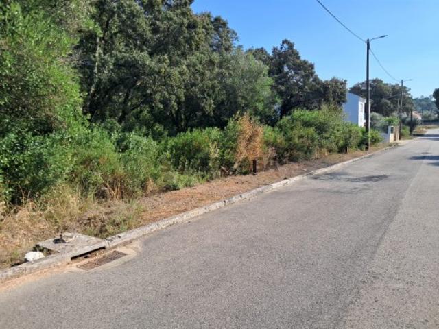 Terreno venda em Alcanena, Santarém