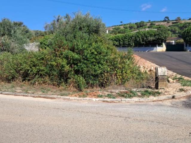 Terreno venda em Alcanena, Santarém