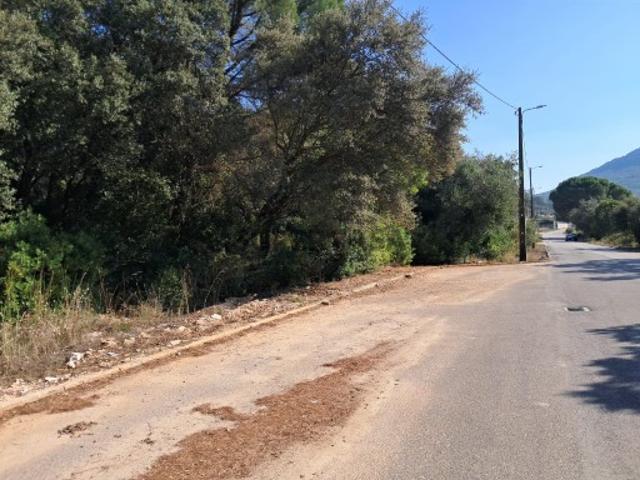 Terreno venda em Alcanena, Santarém