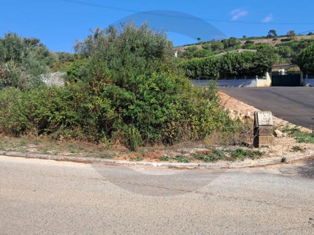 Terreno venda em Alcanena, Santarém