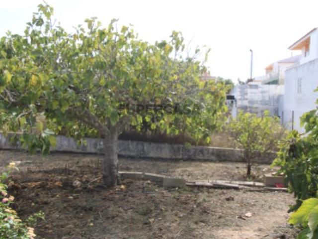 Terreno venda em Faro