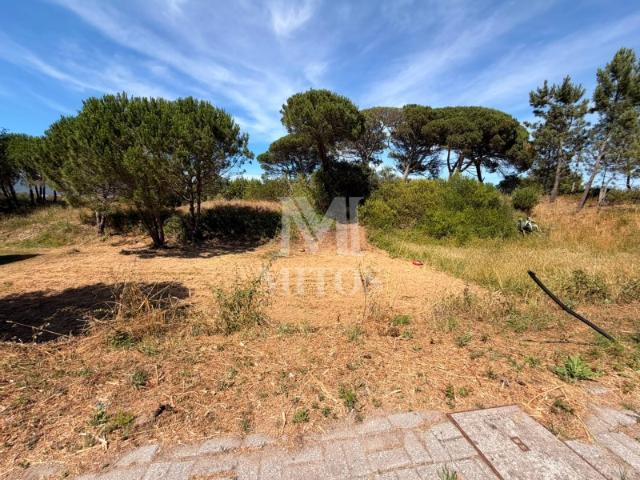 Terreno venda em Viana Do Castelo