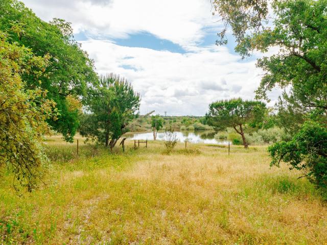 Terreno venda em Benavente, Santarém