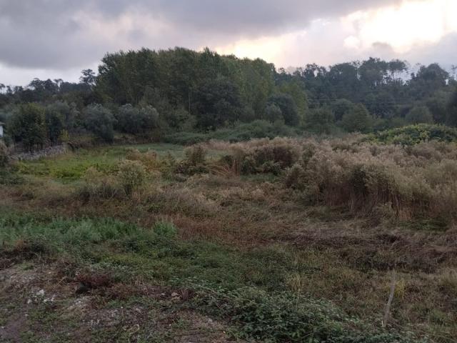 Terreno venda em Viseu