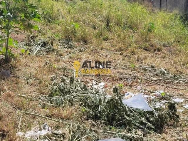 Terreno venda em Tirol, Belo Horizonte