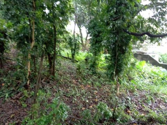 Terreno venda em Região Geográfica Imediata de Belo Horizonte, Região Metropolitana de Belo Horizonte