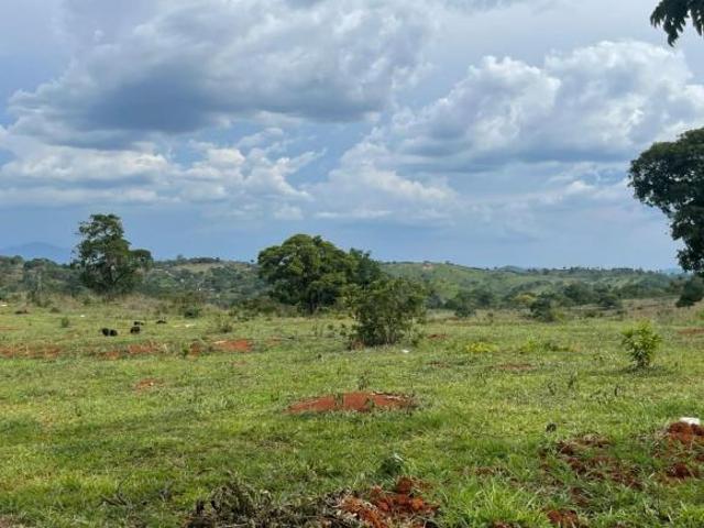 Terreno venda em Região Geográfica Imediata de Belo Horizonte, Região Metropolitana de Belo Horizonte