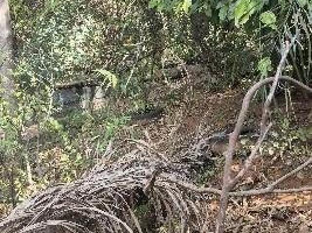 Terreno venda em Região Geográfica Imediata de Belo Horizonte, Região Metropolitana de Belo Horizonte