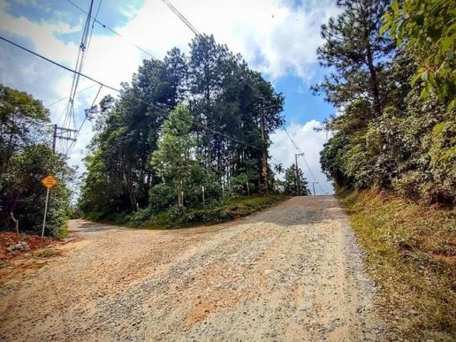 Terreno venda em Zanzalá, São Bernardo do Campo