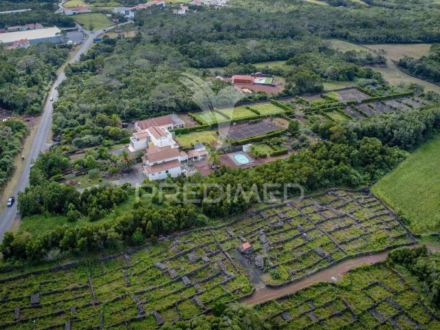 Terreno venda em Açores, Madalena
