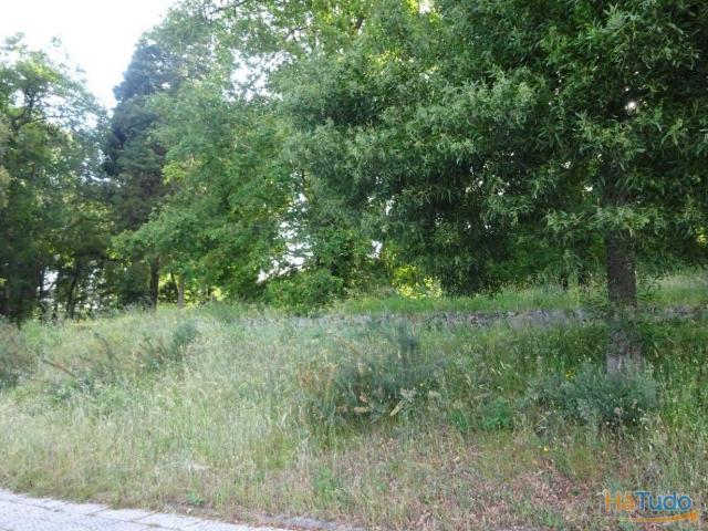 Terreno venda em Oliveira De Frades, Viseu
